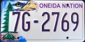 Nummernschilder / Kfz-Kennzeichen USA 2003 2000er Wisconsin WI tribe