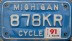 Nummernschilder / Kfz-Kennzeichen USA 1983 1980er Michigan MI